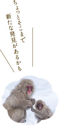 ☆美味しい料理と温泉を思う存分堪能♪