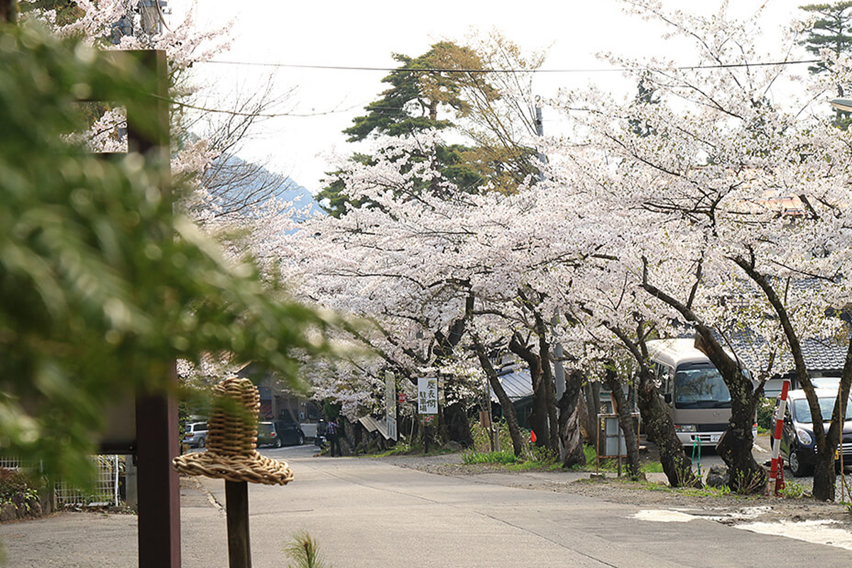 野猿公苑